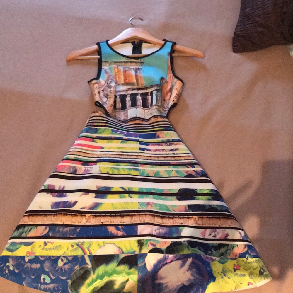 Clover canyon dress.